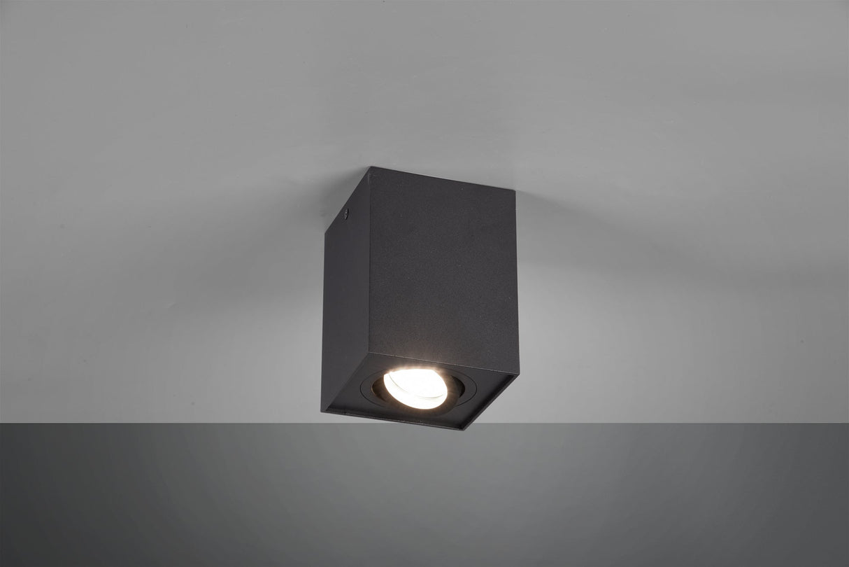 Plafonnier Biscuit 613000132