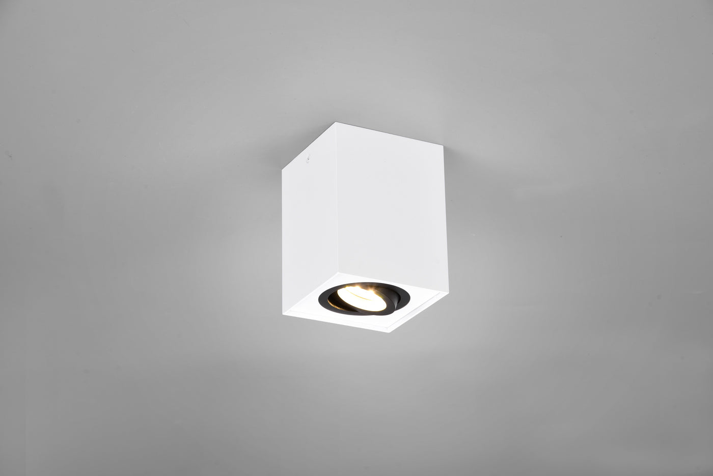 Plafonnier Biscuit 613000134