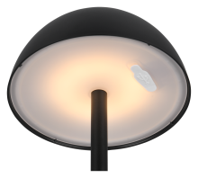 Lampe Ricardo noire R54106132