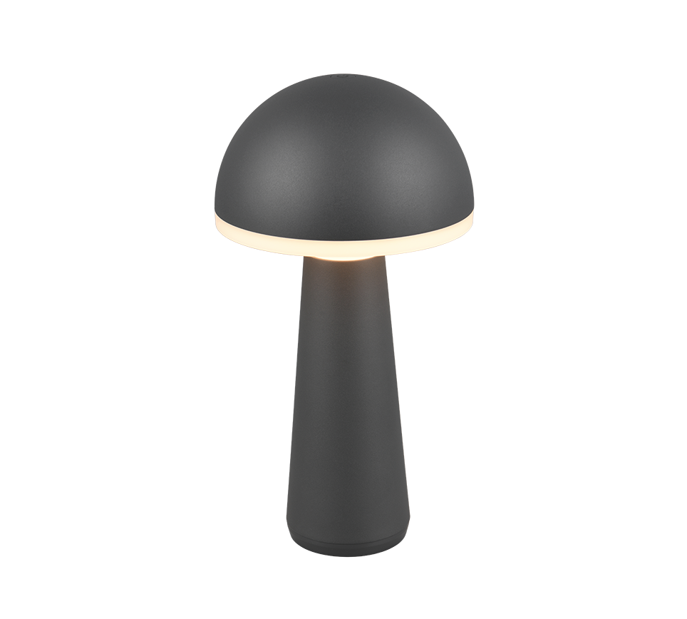Lampe Fungo anthracite R57716142