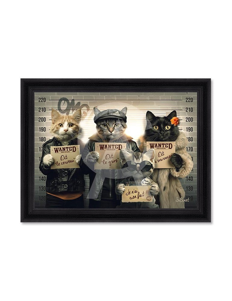 CHATS VOLEURS by SYLVAIN BINET 82X62