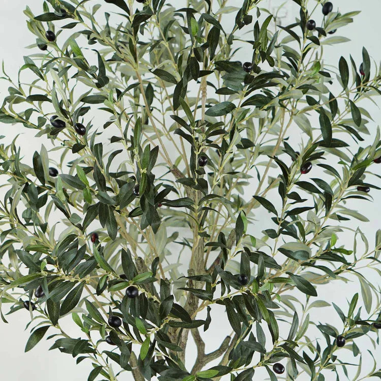 Plante artificielle "OLIVIER" 175CM ref:3344