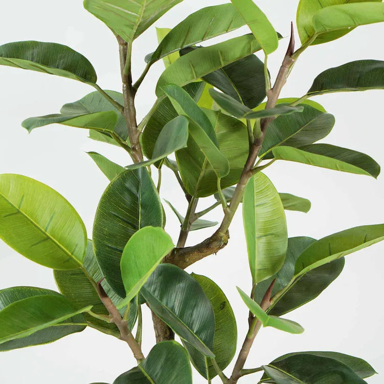 Plante artificielle "FICUS" 140CM ref:3346