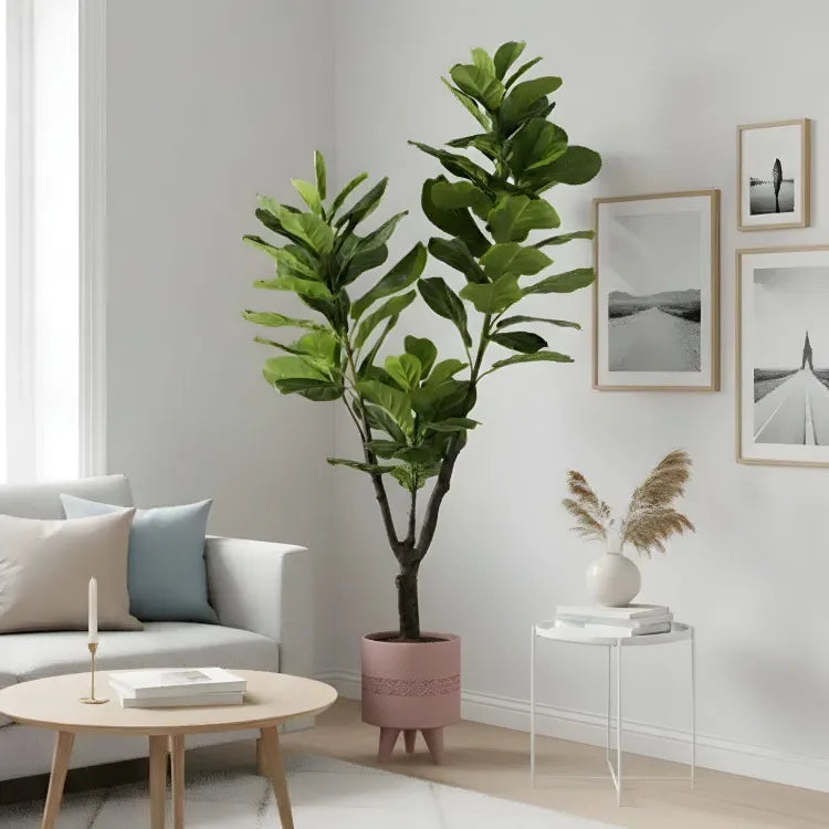 Plante artificielle "FIGUIER LYRE" 180CM ref:3352
