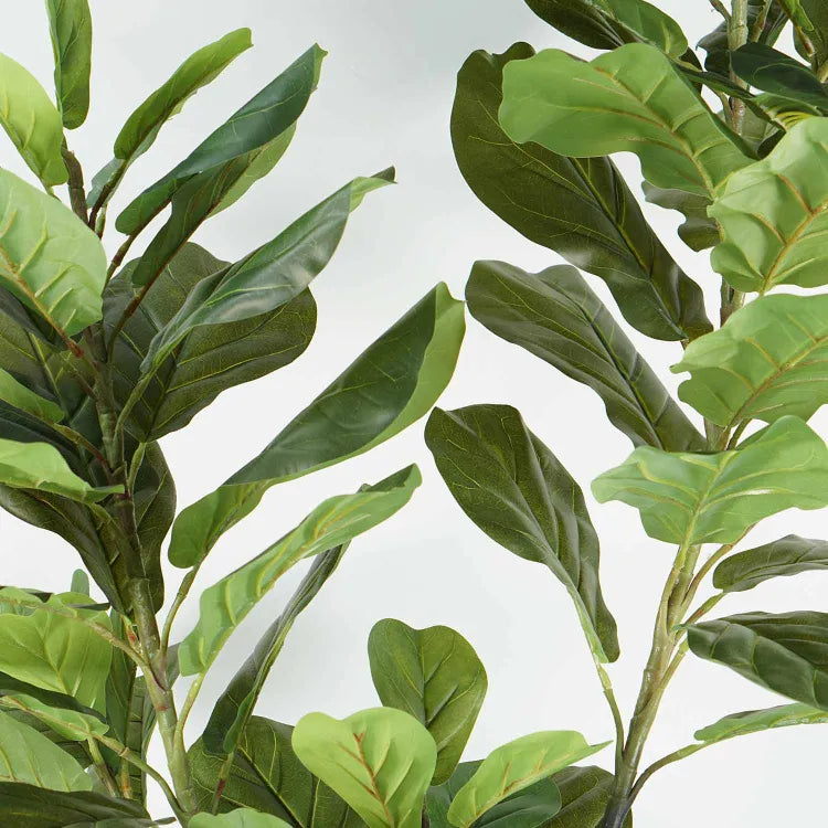 Plante artificielle "FIGUIER LYRE" 180CM ref:3352