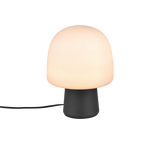 Lampe STEEN noire TRIO 568200132