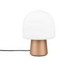 Lampe Steen marron TRIO 568200165