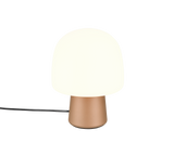 Lampe Steen marron TRIO 568200165