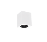 Plafonnier Biscuit 613000134