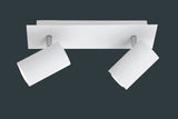 Réglette Marley blanc 2L 802400201