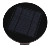 Borne Gorda gm R44676132