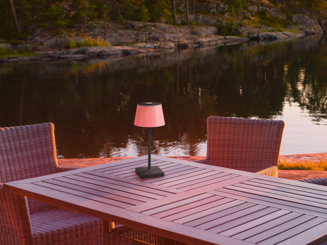 Lampe Sanchez anthracite R54126142