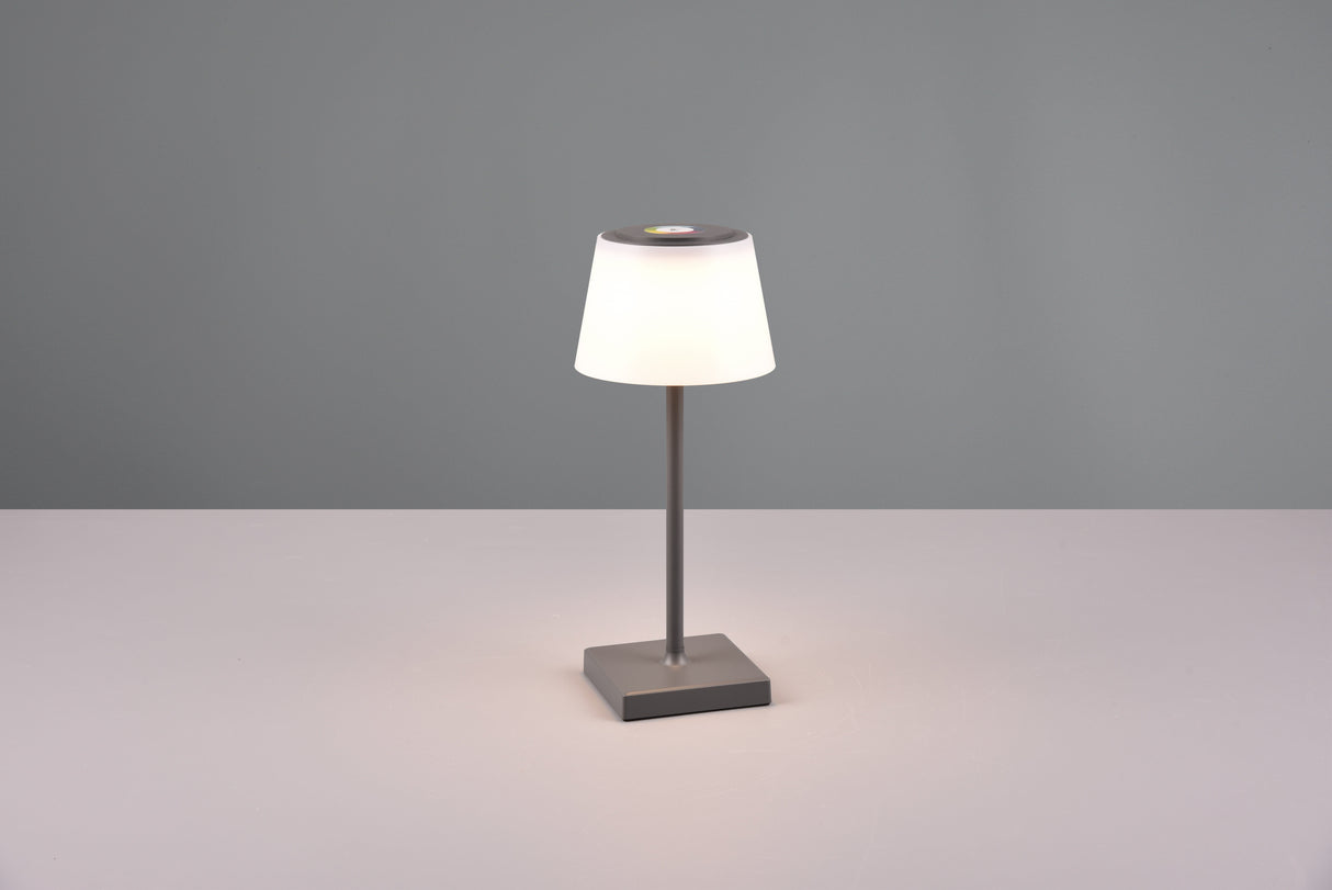 Lampe Sanchez anthracite R54126142