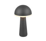 Lampe Fungo anthracite R57716142