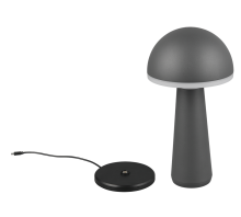 Lampe Fungo anthracite R57716142