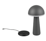 Lampe Fungo anthracite R57716142