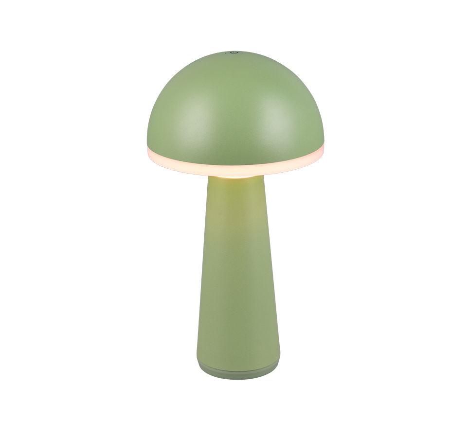 Lampe Fungo verte R57716149