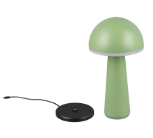 Lampe Fungo verte R57716149