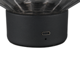 Lampe LORD fumée TRIO R57761154