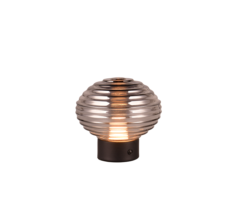 Lampe EARL fumée TRIO R57771154