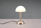Lampe Canaria nickel mat R59561107