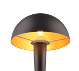 Lampe Canaria noir/or R59561180