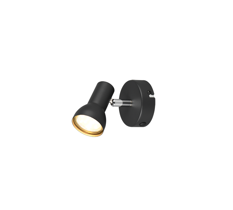 Spot Cantar noir 1L R81791032