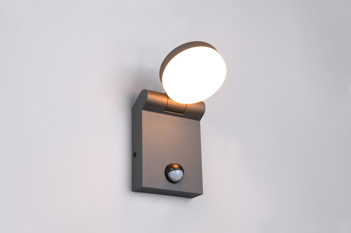 Applique Adour anthracite détecteur 245569142