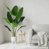 Plante artificielle  "OISEAU DE PARADIS" 160CM ref:3341