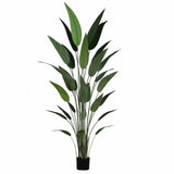 Plante artificielle  "STRELITZIA" 210CM ref:3343