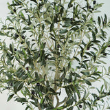 Plante artificielle  "OLIVIER" 175CM ref:3344