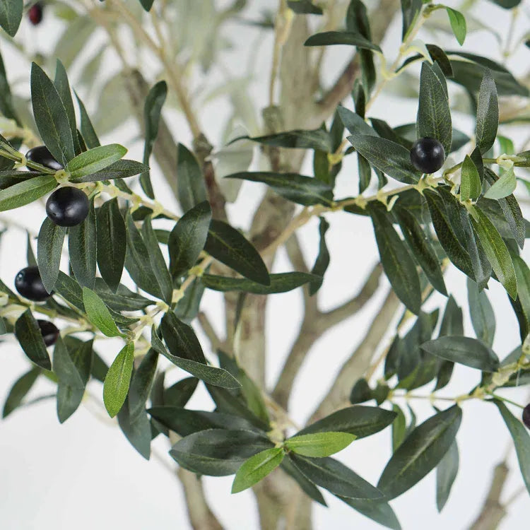 Plante artificielle  "OLIVIER" 175CM ref:3344