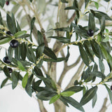 Plante artificielle  "OLIVIER" 175CM ref:3344
