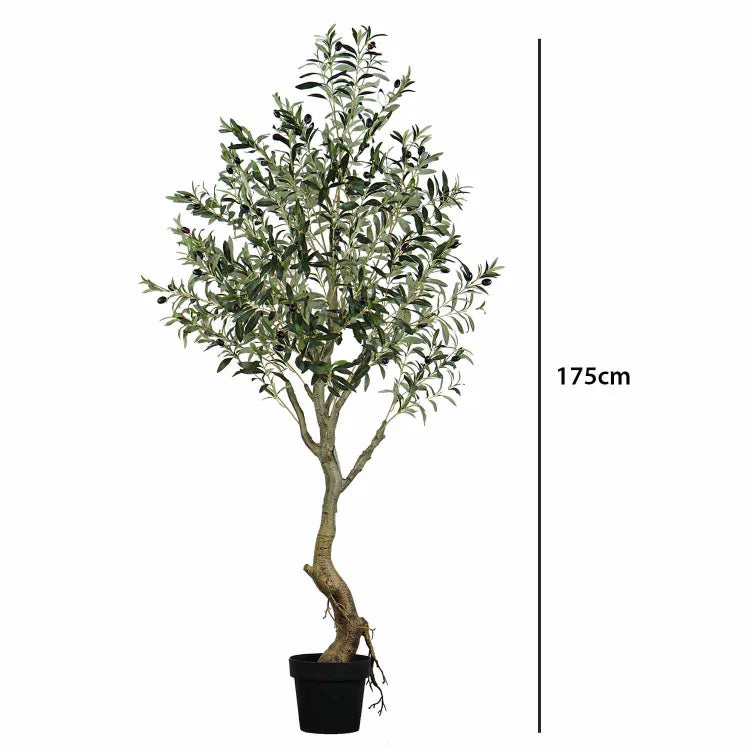Plante artificielle  "OLIVIER" 175CM ref:3344