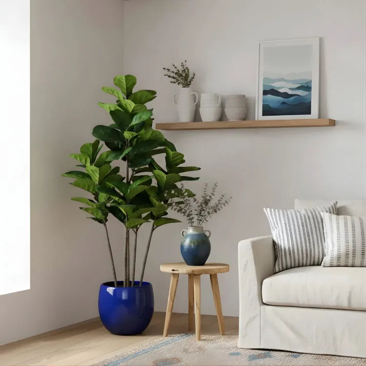 Plante artificielle  "FIGIER LYRE" 150CM ref:3345