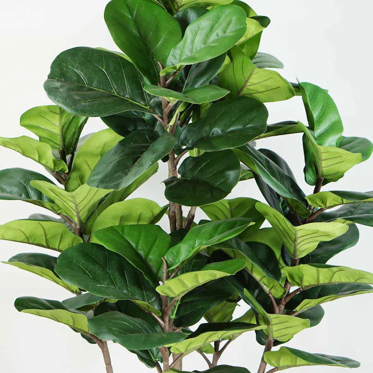 Plante artificielle  "FIGIER LYRE" 150CM ref:3345