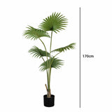 Plante artificielle  "PALMIER" 200CM ref:3349