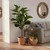 Plante artificielle  "FIGUIER LYRE" 130CM ref:3353
