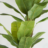 Plante artificielle "BANANIER" 200CM ref:3356